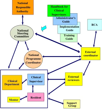 FIG. I.1.  Schematic showing the management structure and lines of communication within the RCA pilot clinical training programme