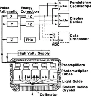 FIG. 2.  Cutaway diagram of the detector head of an Anger type scintillation camera, with key electronic units.