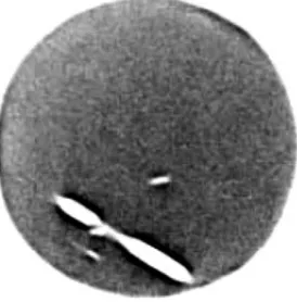 FIG. 21.  Cracked crystal. Routine intrinsic uniformity testing revealed various cold areas with hot edges