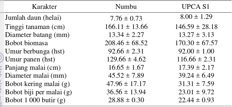 Tabel 1  Nilai tengah karakter agronomi dan komponen hasil varietas Numbu dan UPCA S1 di tanah masam, Jasinga 