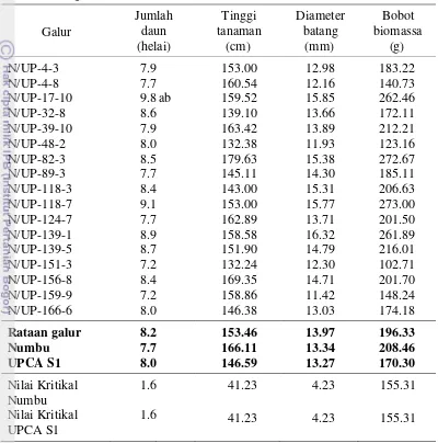 Tabel 3  Keragaan karakter agronomi galur-galur harapan sorgum di tanah masam Jasinga 