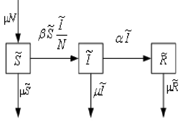 Diagram  kompartemen  model  yang  menggambarkan  hubungan  ketiga  populasi  dapat  dilihat  dalam Gambar 1