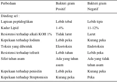 Tabel 2.1 Perbedaan bakteri gram positif dan gram negatif :  