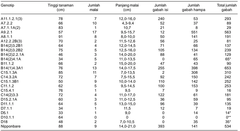 Tabel 2. Tinggi tanaman, jumlah dan panjang malai, jumlah gabah dari 24 genotipe padi Nipponbare putatif transgenik.