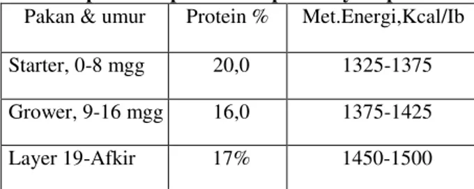 Tabel panduan pemberian pakan ayam petelur    Pakan &amp; umur  Protein %  Met.Energi,Kcal/Ib  Starter, 0-8 mgg  20,0  1325-1375  Grower, 9-16 mgg  16,0  1375-1425  Layer 19-Afkir  17%           1450-1500 