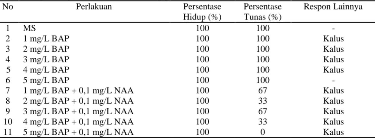 Tabel 1. Respon eksplan T. rafflesiae terhadap pemberian berbagai konsentrasi BAP dan NAA  