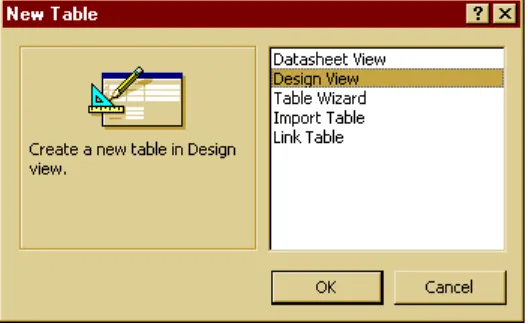 table where you can enter data into cells.  However,  "Design View" is where you really want to create your data base fields, because you can determine data controls easier