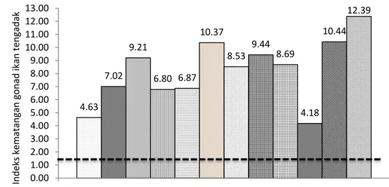 Gambar 1. Persentase indeks kematangan gonad pada akhir penelitian. (---) nilai indeks kematangan gonad  awal (1,27) 