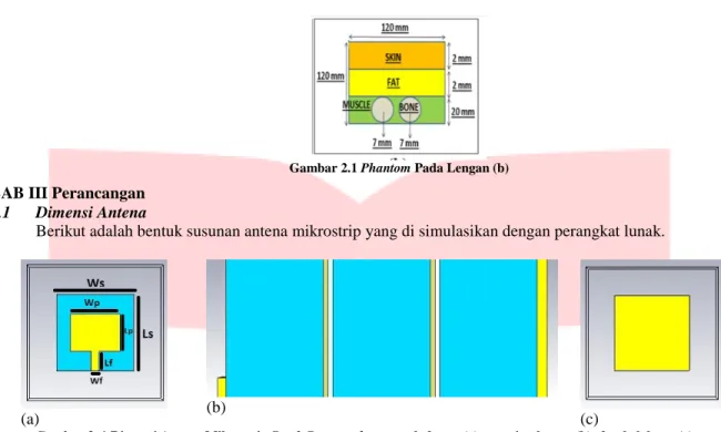Gambar 2.1 Phantom Pada Lengan (b) 