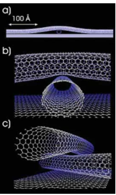 FIGURE 5-6Examples of nanotubes.  
