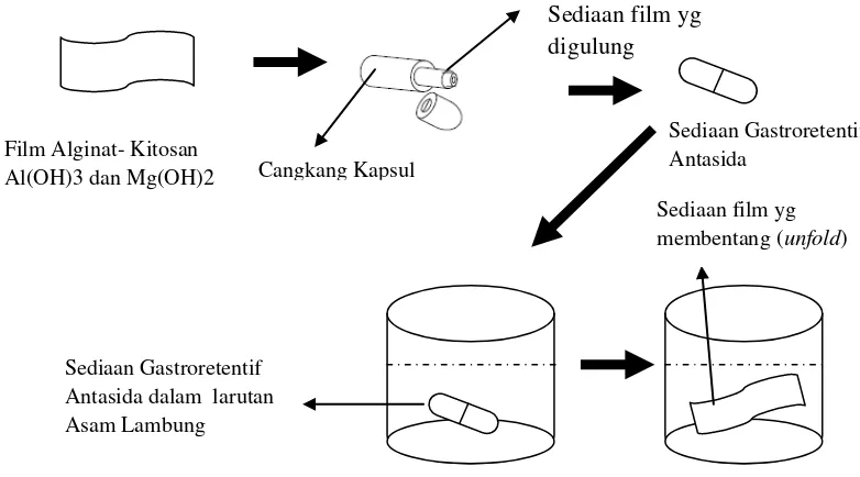 Gambar 3.1 Ilustrasi sediaan gastrortentif antasida film alginat-kitosan  