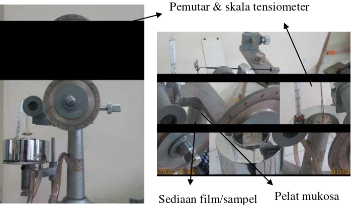 Gambar 3.3 Alat uji bioadhesif dengan tensiometer yang modifikasi 