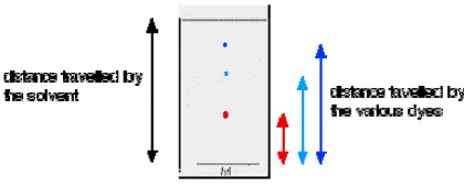 Gambar 3 : Perbandingan jarak bercak dan jarak tempuh eluenFaktor retensi (Rf) adalah jarak yang ditempuh oleh komponendibagi dengan jarak yang ditempuh oleh eluen, dengan persamaan :Jarak yang ditempuh senyawa terlarut