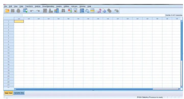 Gambar 2.4 Area Kerja SPSS 18 