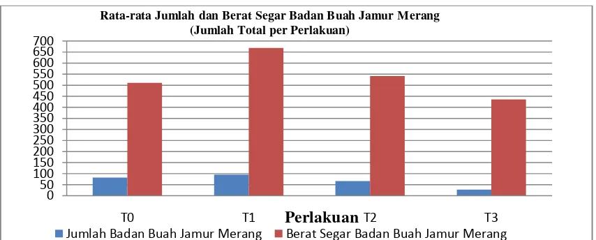 Gambar 3. Rata-rata Jumlah dan Berat Segar Badan Buah Jamur Merang (Jumlah Total per Perlakuan) 