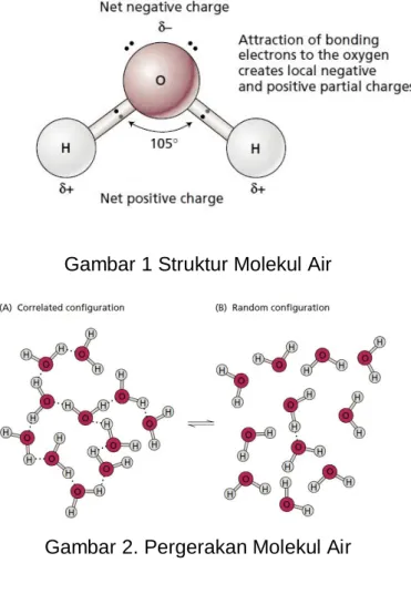 Gambar 1 Struktur Molekul Air 