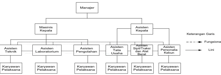 Gambar 2.1. Struktur Organisasi PT. Perkebunan Nusantara III Kebun 