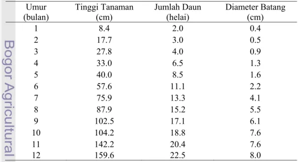 Tabel 1. Standar Pertumbuhan Morfologi Bibit PT Dami Mas  Umur   (bulan)  Tinggi Tanaman (cm)  Jumlah Daun (helai)  Diameter Batang (cm)  1 8.4  2.0  0.4  2 17.7  3.0  0.5  3 27.8  4.0  0.9  4 33.0  6.5  1.3  5 40.0  8.5  1.6  6 57.6 11.1  2.2  7 75.9 13.3