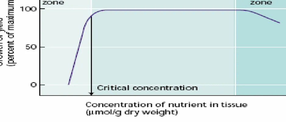 Gambar 4.2. Hubungan antara hasil atau tumbuh dan kandungan nutrien  pada jaringan tanaman