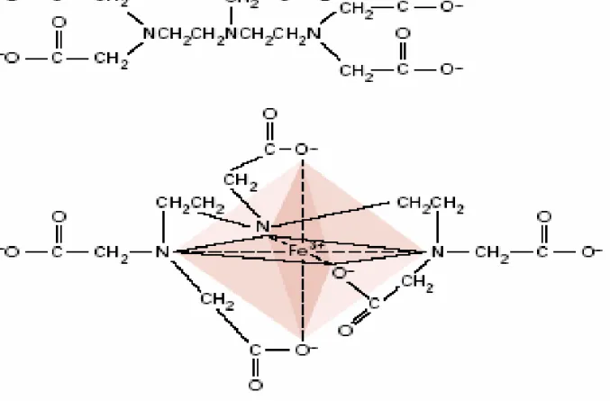Gambar 4.1. Struktur kimia senyawa pengkelat DTPA ( A) dan yang  sudah mengkelat Fe 3+Melalui interaksi dengan 3 atom Nitrogen dan 3  oksigen terionisasi  dari gugus karboksilat (Sievers dan Bailar, 1962)