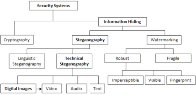 Gambar 1.  Fokus disiplin ilmu penyisipan informasi  (Chedad et al, 2010) 