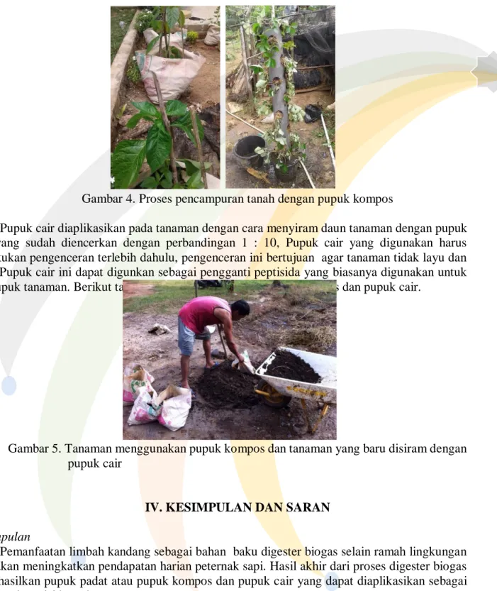 Gambar 4. Proses pencampuran tanah dengan pupuk kompos 