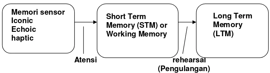 Gambar 1. 9. Model struktur memori  