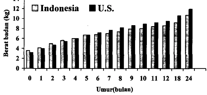 Gambar 2 Perbandingan Rata-rata Berat Badan Anak Indonesia dan Anak-anak 