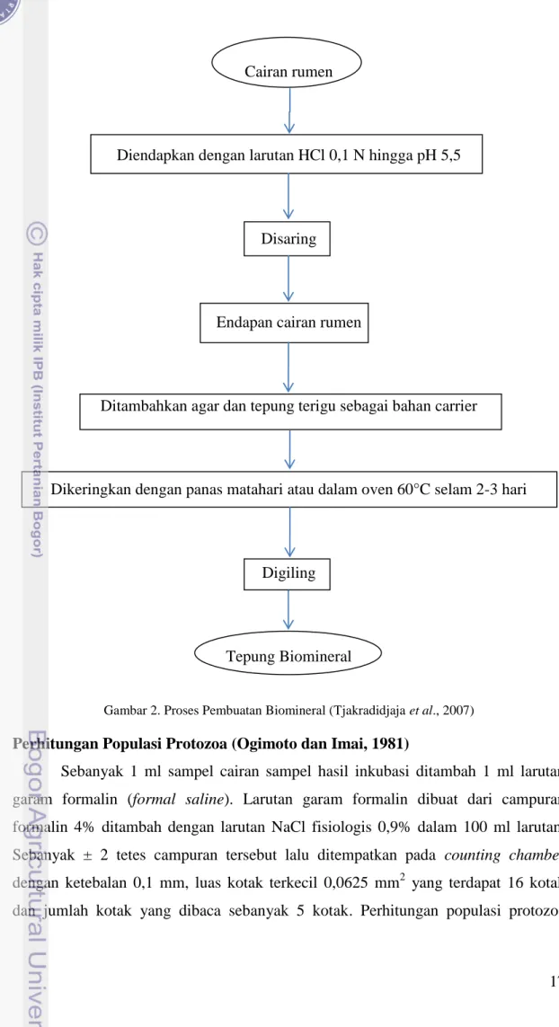 Gambar 2. Proses Pembuatan Biomineral (Tjakradidjaja et al., 2007) 