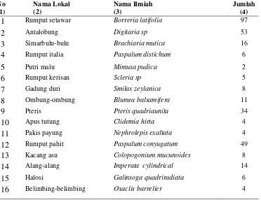 Tabel 1. Jenis Tumbuhan Bawah pada Agroforestri Karet. 