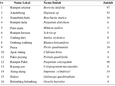 Tabel 1. Jenis Tumbuhan Bawah pada Tegakan Agroforestri Karet 
