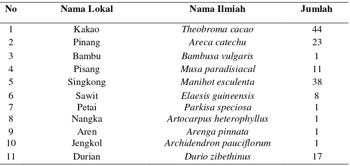Tabel 1. Jenis Tanaman yang Terdapat pada Agroforestri Karet 
