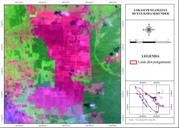 Gambar 3.  Citra  Landsat  TM  Tahun  2007  dan  Letak  Plot  Pengamatan  Tegakan,  Nekromassa dan Tanaman Bawah/Semak pada Hutan Rawa Sekunder 