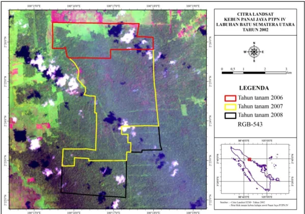 Gambar 7. Citra Landsat ETM+ Kebun Panai Jaya PTPN IV Tahun 2002 