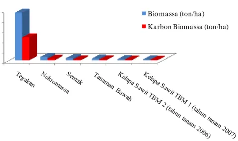 Tabel 12.  Biomassa  dan  Karbon  Biomassa  Atas  Permukaan  Kebun  Panai  Jaya  PTPN IV   Plot  Biomassa  (ton/ha)  Karbon Biomassa (ton/ha)  Tegakan  95,00  45,47  Nekromassa  6,43  2,93  Semak   3,80  1,49  Tanaman Bawah  3,28  1,28 