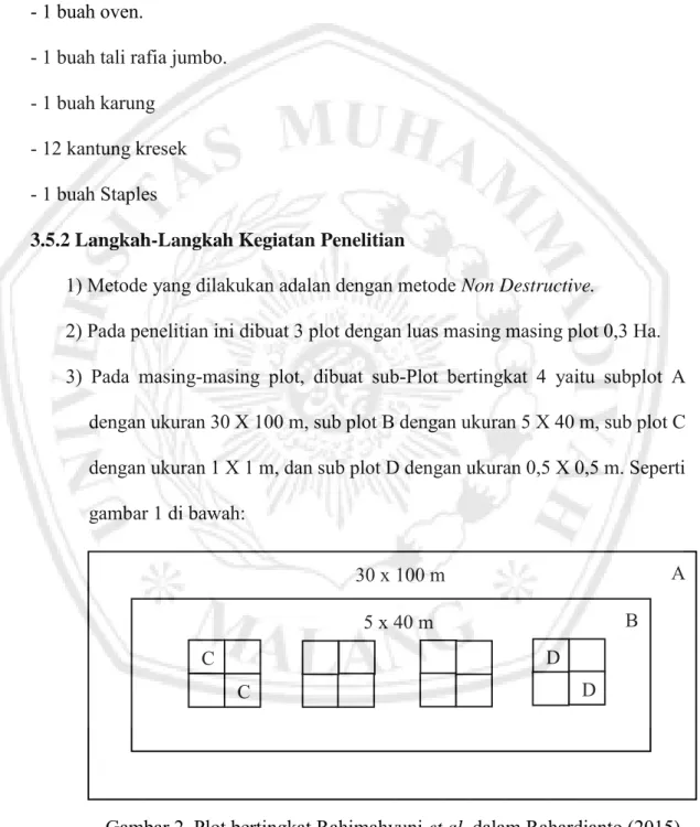 Gambar 1. Plot bertingkat (Rahimahyuni, et al., dalam Rahardjanto, 2015) 