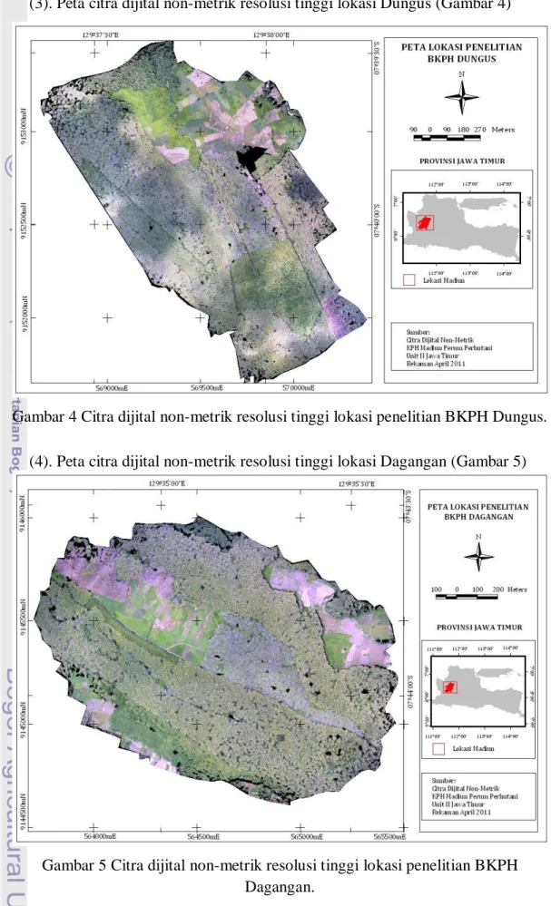 Gambar 4 Citra dijital non-metrik resolusi tinggi lokasi penelitian BKPH Dungus. 