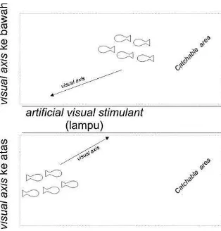 Gambar 12  Ilustrasi tingkah laku ikan terhadap artificial visual stimulant 
