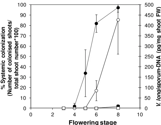 Figure 2. Systemic colonization of L3 siliques mature, 7 = 4N3 = 1development. Percentage of colonized apical shoot segments in a plating assay (closed symbols) and fungal DNA-content determined by qPCR in apical shoot segments (open symbols) in Ler and Bu