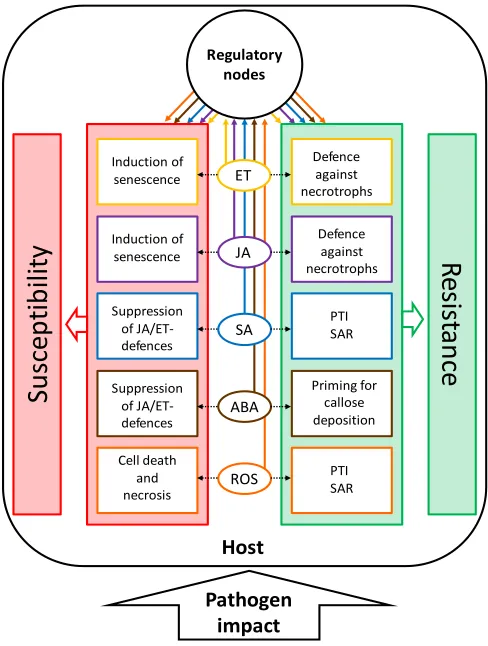 Figure 7. A model for the roles of potentially senescence-inducing signaling molecules during necrotrophic host-pathogen-interactions
