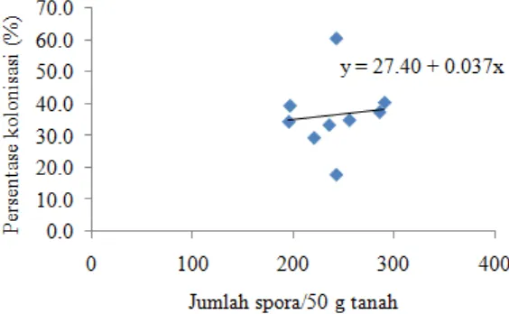 Gambar 6. Korelasi persentase kolonisasi dengan kepadatan spora FMA   (×) Jumlah spora dan (y) persentase kolonisasi 