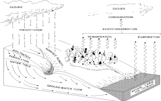 Gambar 2. Siklus Hidrologi (UNESCO, 1978) 