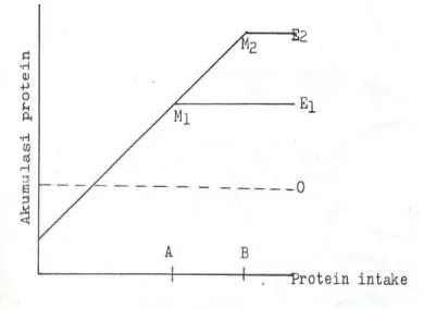 Gambar 3.2.1. Hubungan antara akumulasi protein dengan intake energi dan protein. 