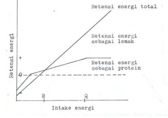 Gambar 3.2.2. Diagram hubungan antara intake dan retensi energi. 