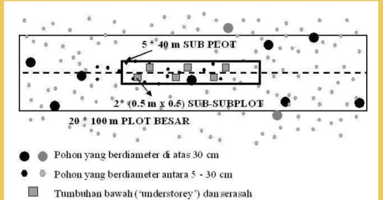 Gambar 2. SUB-PLOT contoh untuk pengukuran biomasa dan  nekromasa