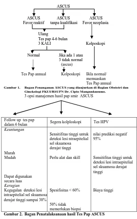 Gambar 3.  Algoritma Penatalaksanaan hasil Tes Pap ASCUS dengan tes HPV DNA 