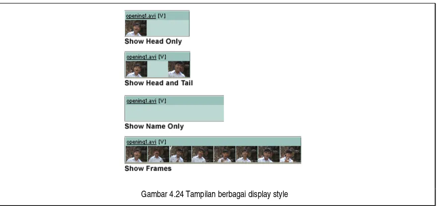 Gambar 4.24 Tampilan berbagai display style 