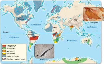 Gambar 1.3: Peta sebaran struktur batuan dan fosil dan berbagai benua yang mendukunghipotesa Wegener
