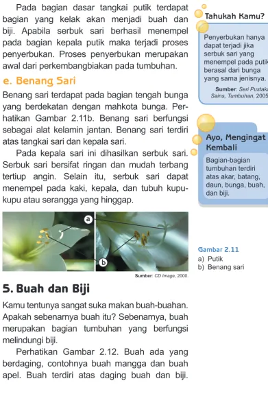 Gambar 2.11a)  Putik