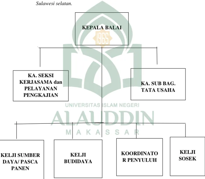 Gambar 1: struktur organisasi Balai Pengkajian Teknologi  Pertanian  Sulawesi selatan